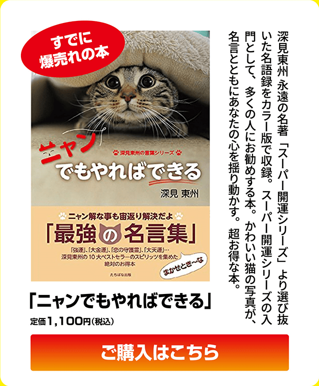 「ニャンでもやればできる」定価1,100円（税込）