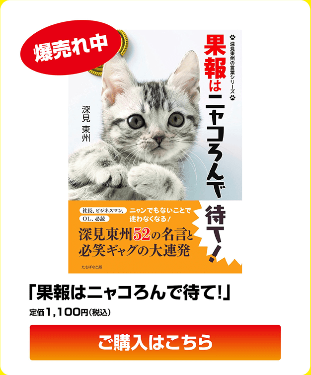 「果報はニャコろんで待て！」定価1,100円（税込）