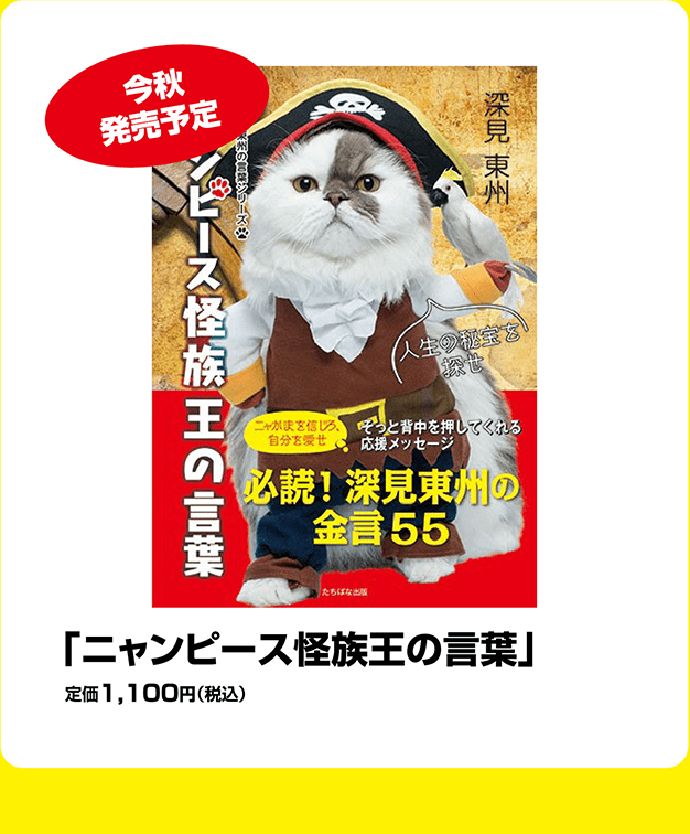 「ニャンピース怪族王の言葉」定価1,100円（税込）